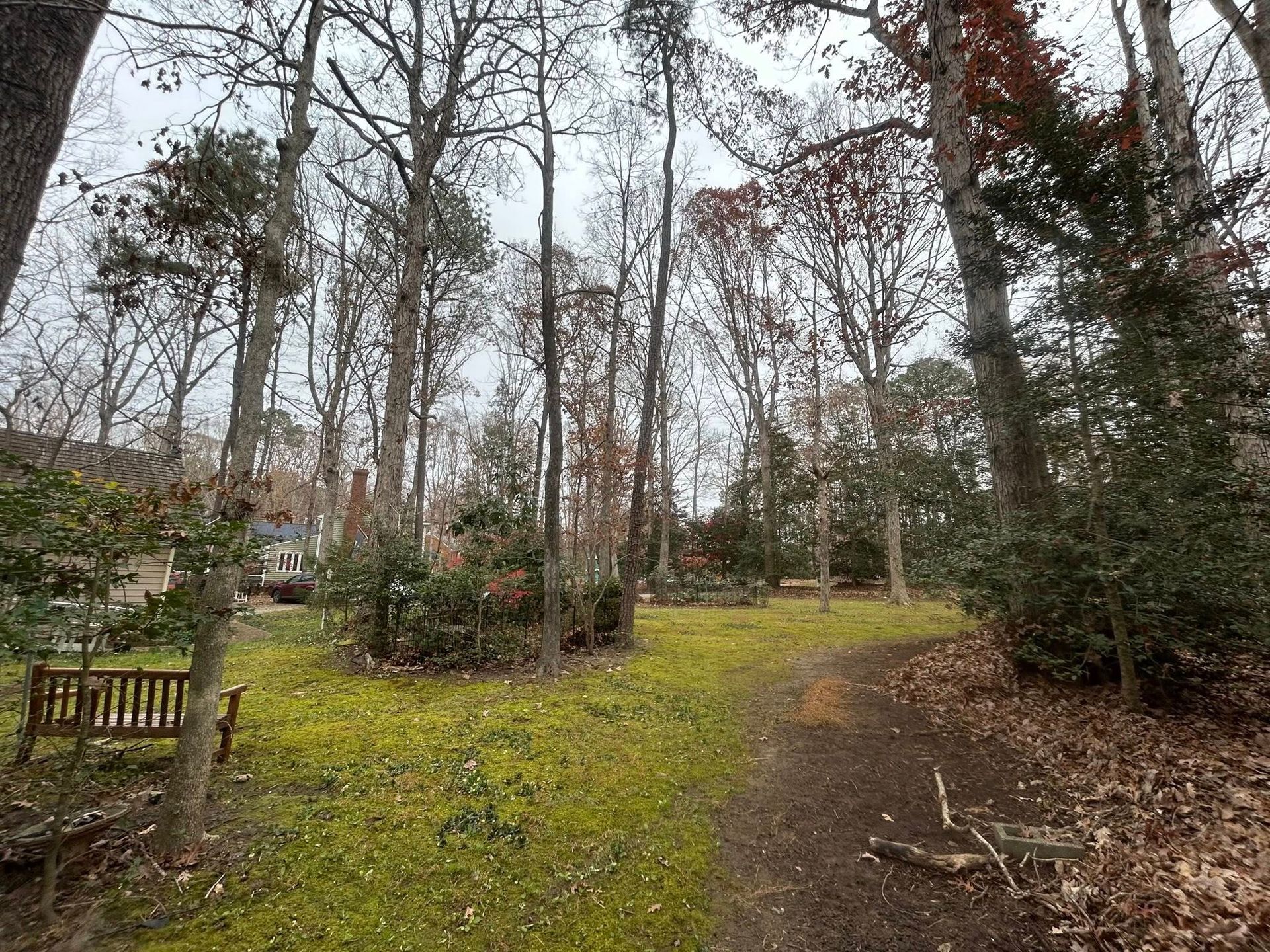 Park with bare trees, green ground cover, and a bench; overcast sky.