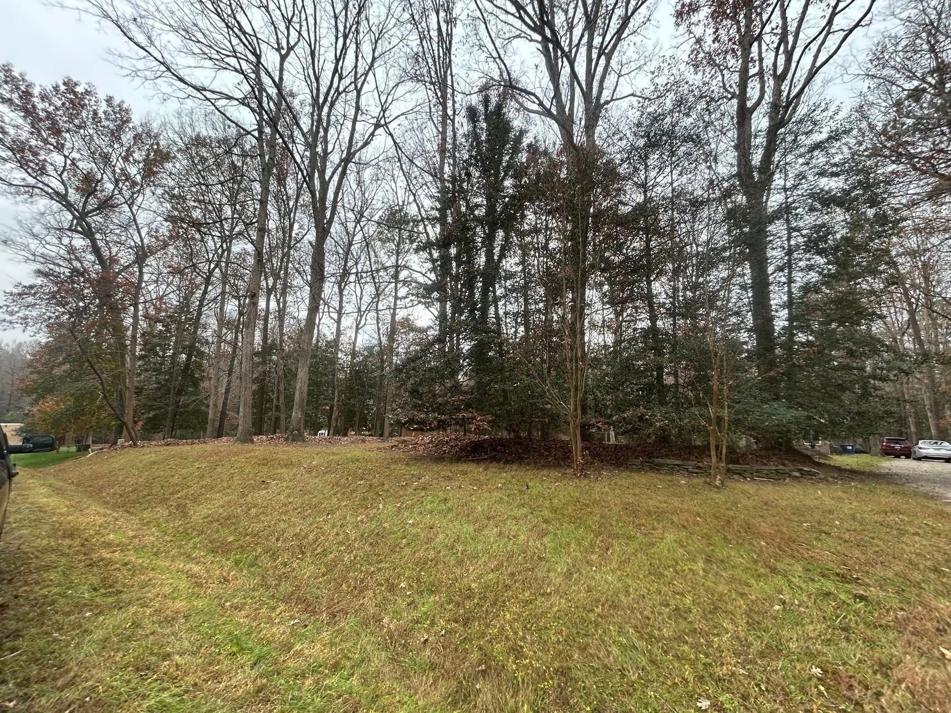 Grassy hill with trees in the background, overcast day.