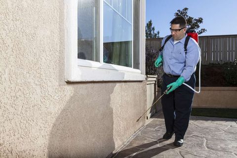 man spraying home for pests