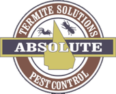 absolute termite solutions pest control logo
