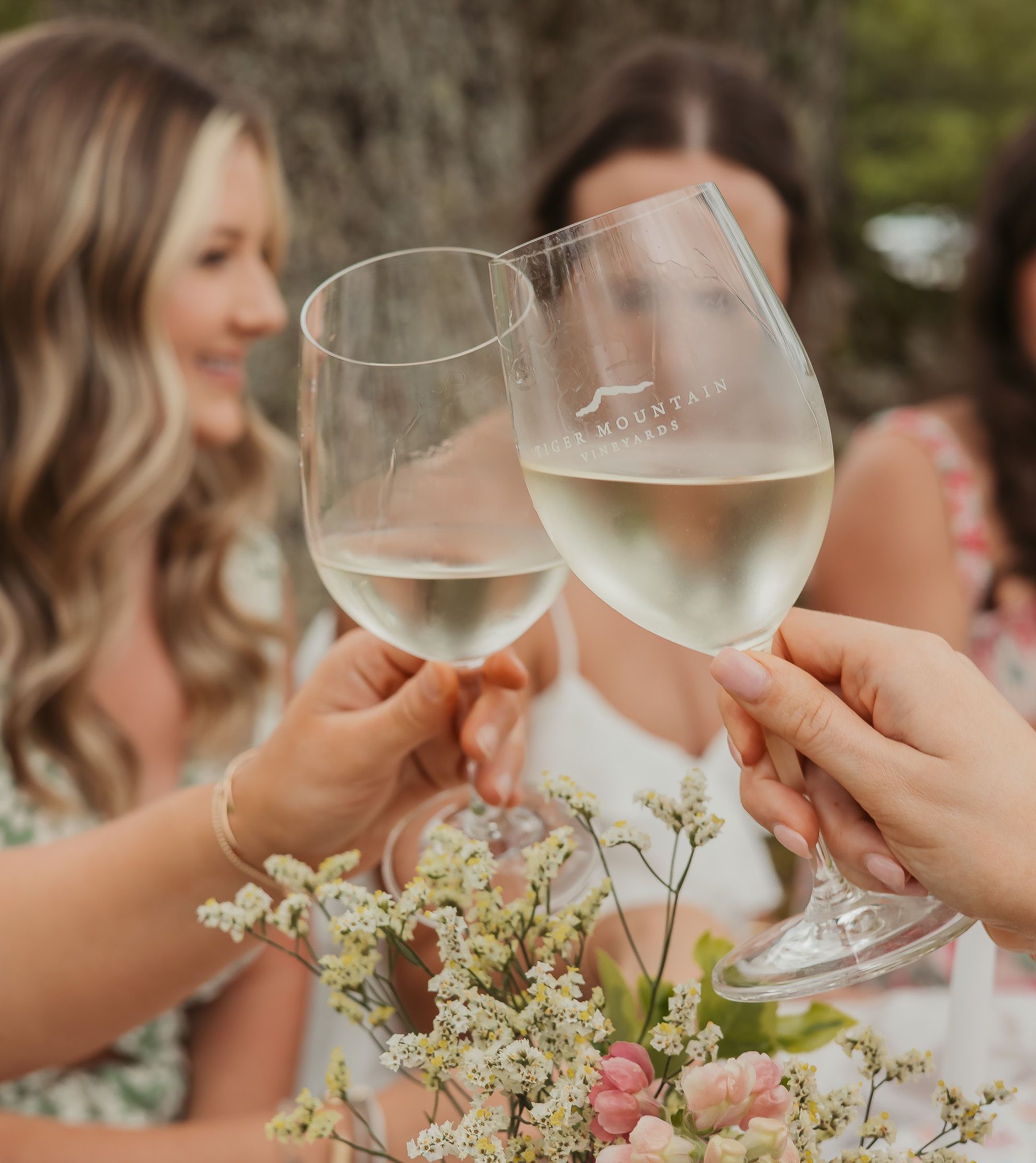 A group of women are toasting with wine glasses.
