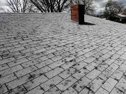 hail damage Delafield