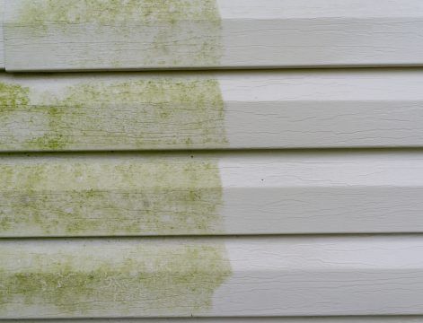 siding services near Delafield