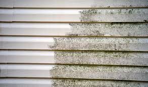 siding services Sussex
