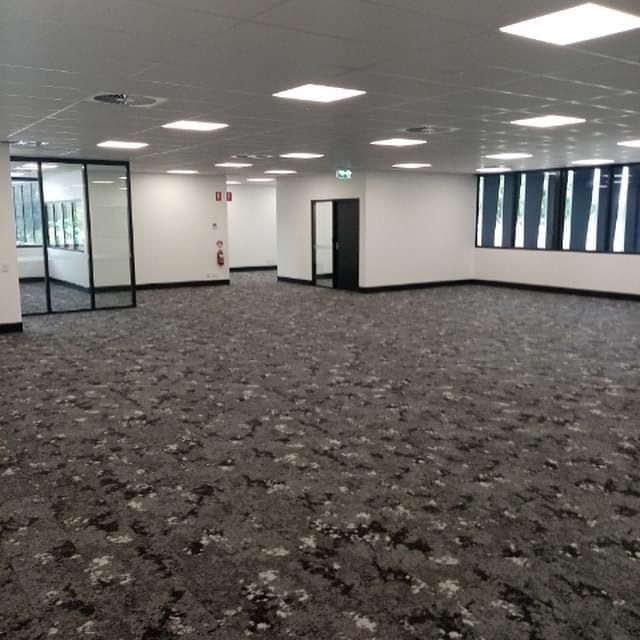 A large room with a lot of windows and a carpeted floor