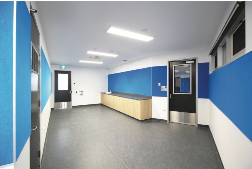 A hallway with blue walls and a black door