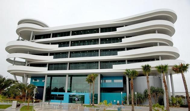 A large white building with palm trees in front of it.