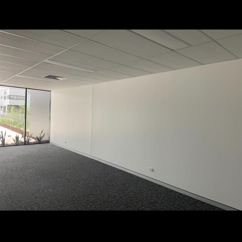 An empty room with white walls and black carpet