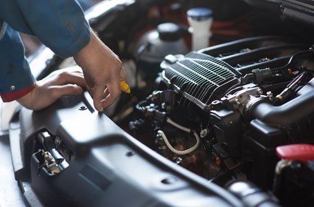 Choose us for vehicle steam cleaning