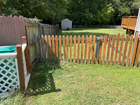 Fenced backyard with green grass, a small shed, and a wooden deck.
