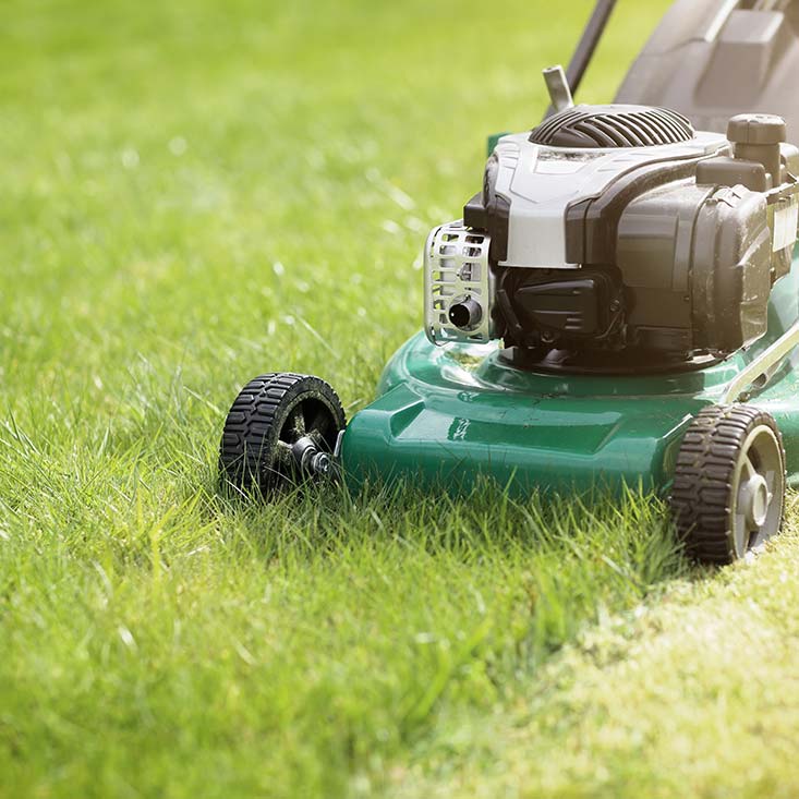 lawn mower