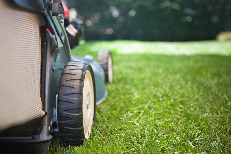 lawn mower