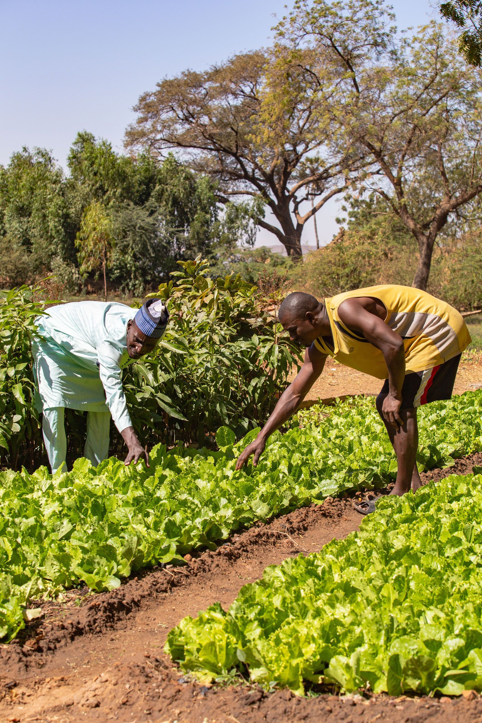 Climate Smart AgriTech & Food Sovereignty
