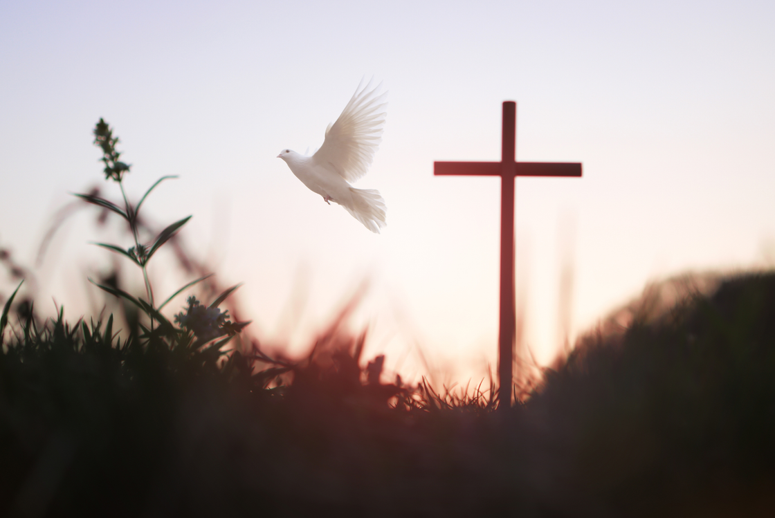 A white dove is flying in front of a cross at sunset.