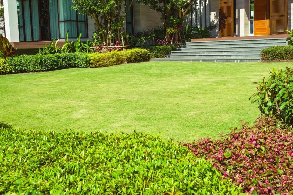 A Large Lush Green Lawn in Front of a House — Ozi Construction Pty Ltd in Griffith, ACT