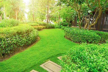 A Lush Green Garden With Trees and Bushes and a Path — Ozi Construction Pty Ltd in Griffith, ACT