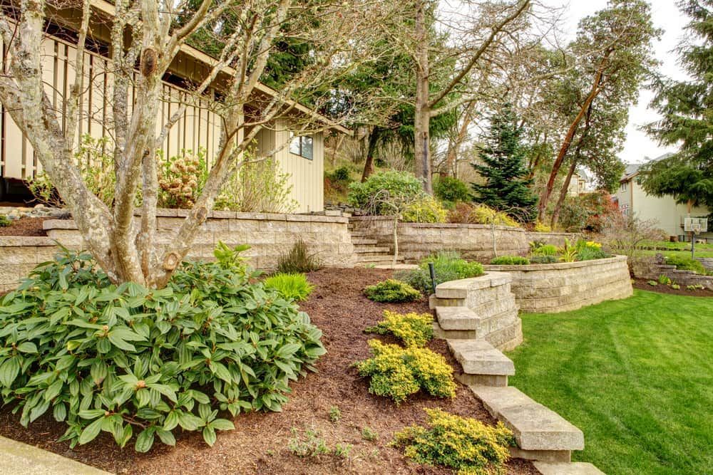 A Lush Green Yard With a Stone Wall and Stairs Leading to a House — Ozi Construction Pty Ltd in Sydney, NSW