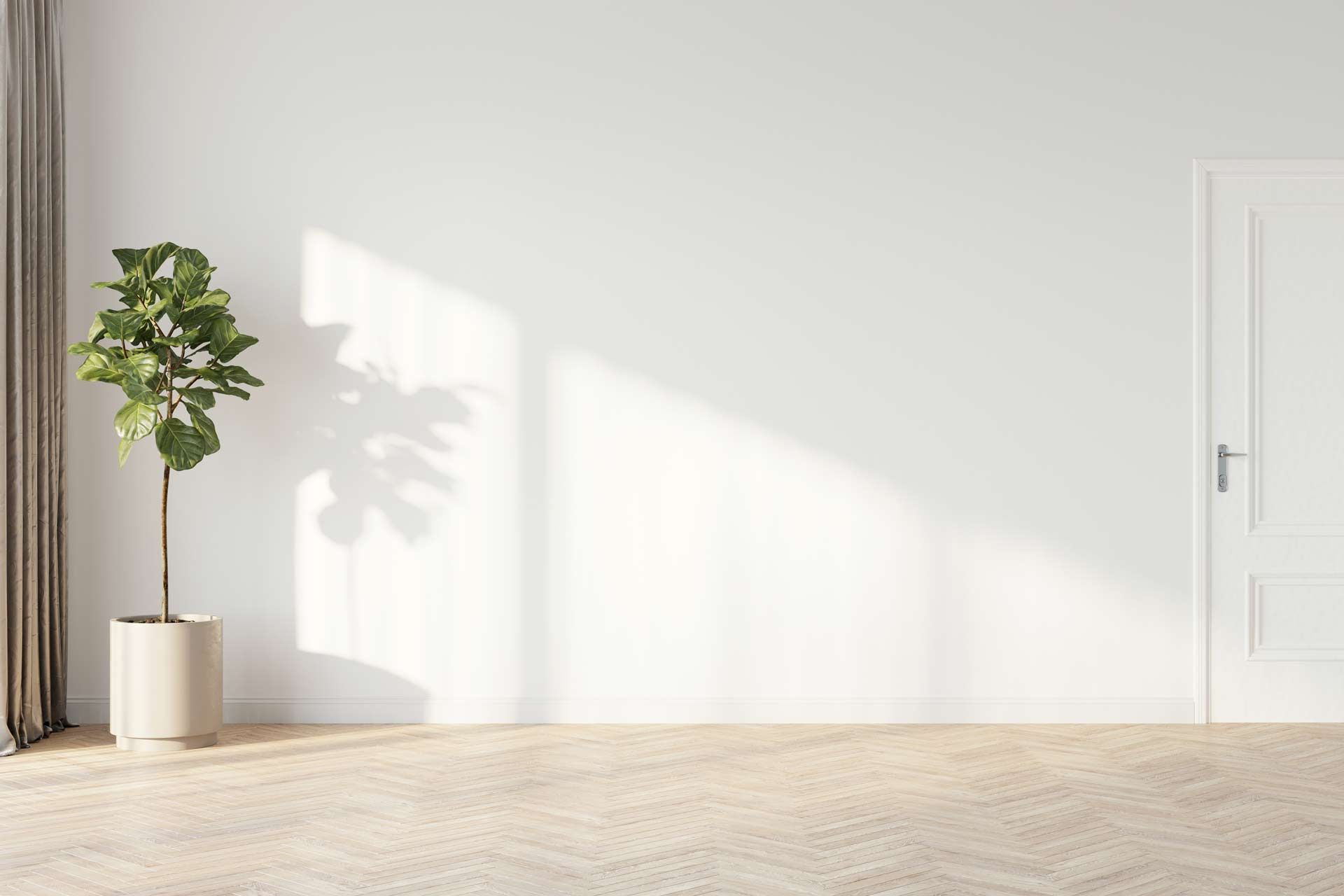 A room with white walls, wooden floor, large plant, curtain, and a door. Sunlight and shadows.