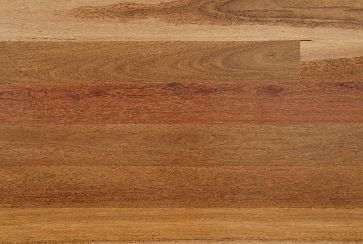 Grey Ironbark Hardwood 2