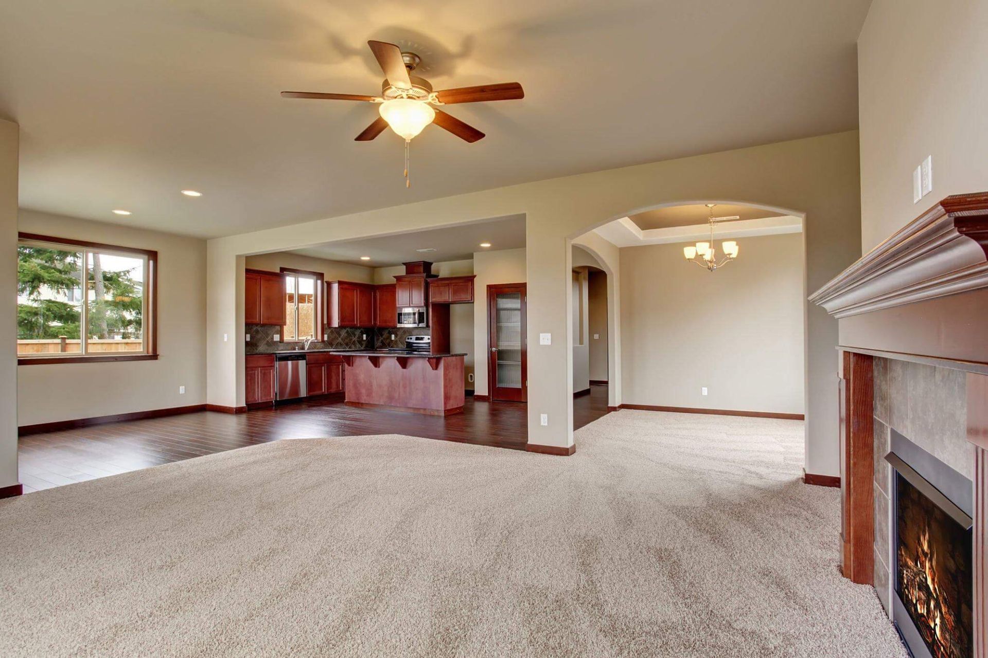 Upholstery Cleaning
