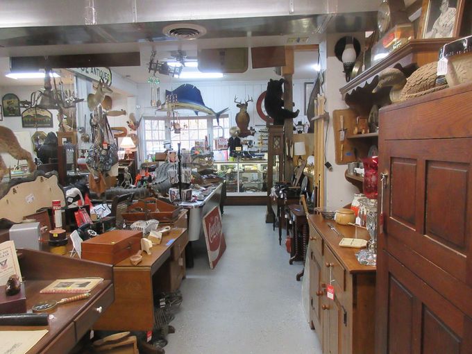 Antique shop interior filled with various items, including furniture, animal mounts, and collectibles.
