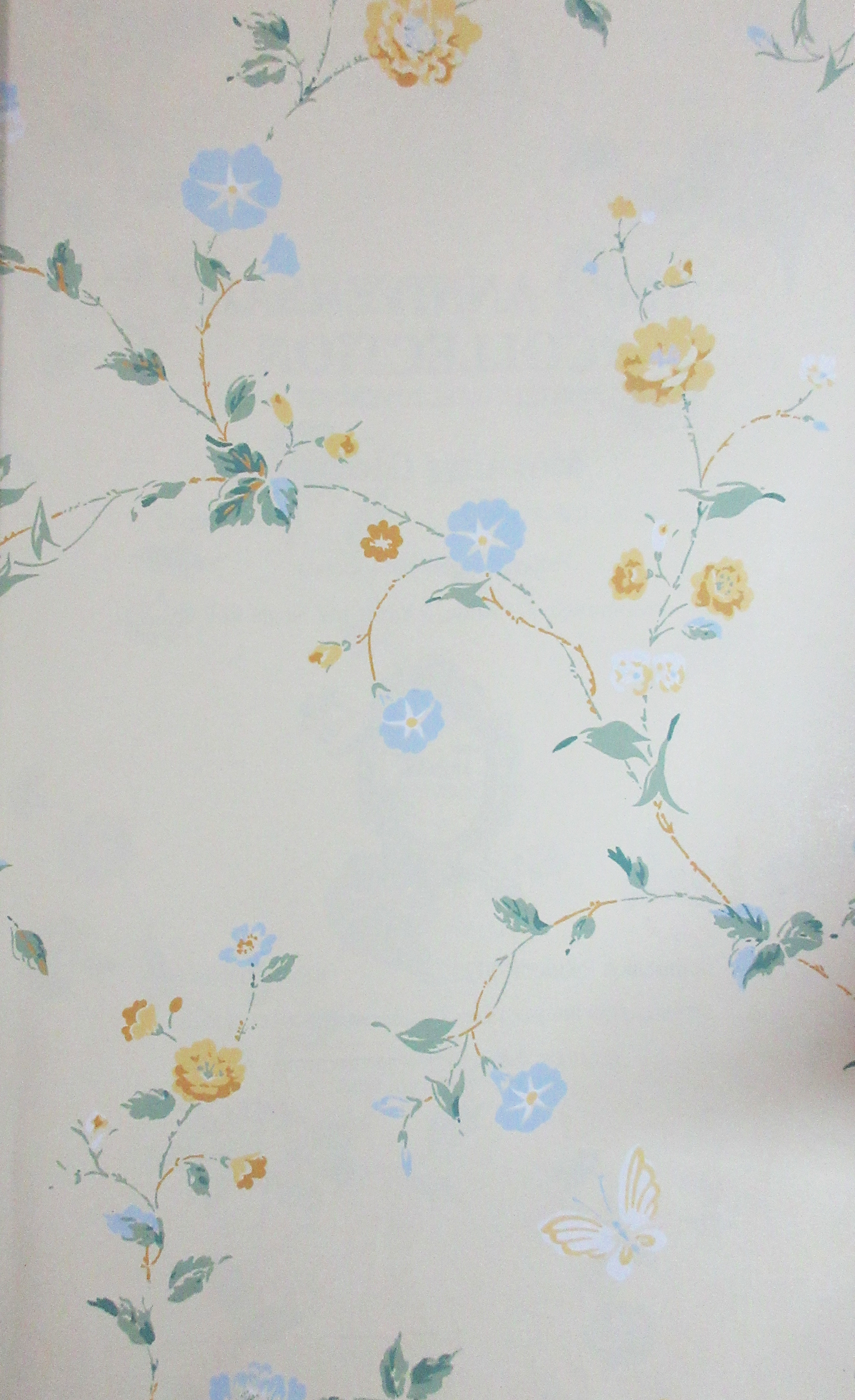 Thibaut “Morning Glories” 839-T-129 – 100th Anniversary Wallpaper