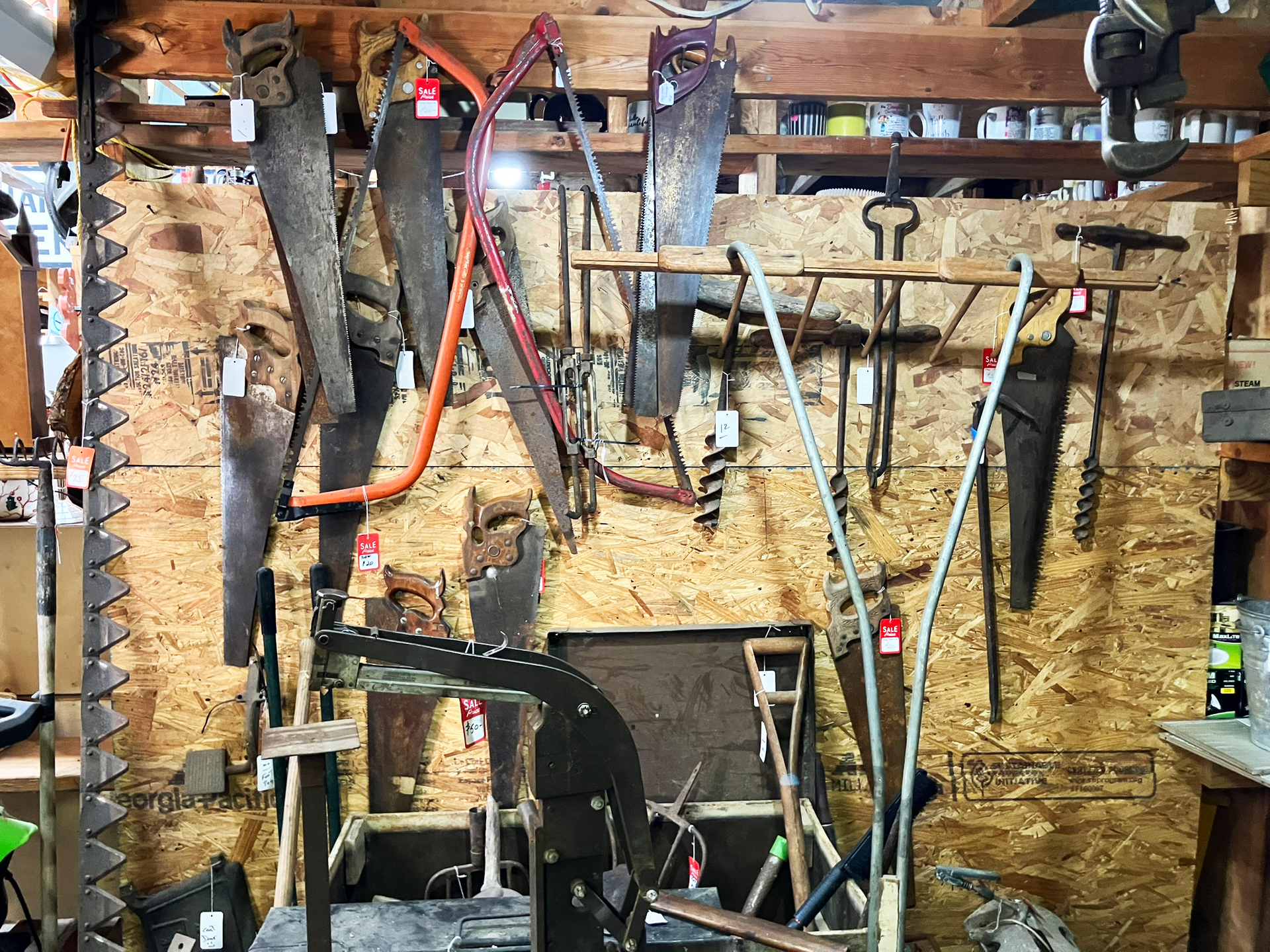 Assortment of antique saws and tools hanging on a wooden wall.