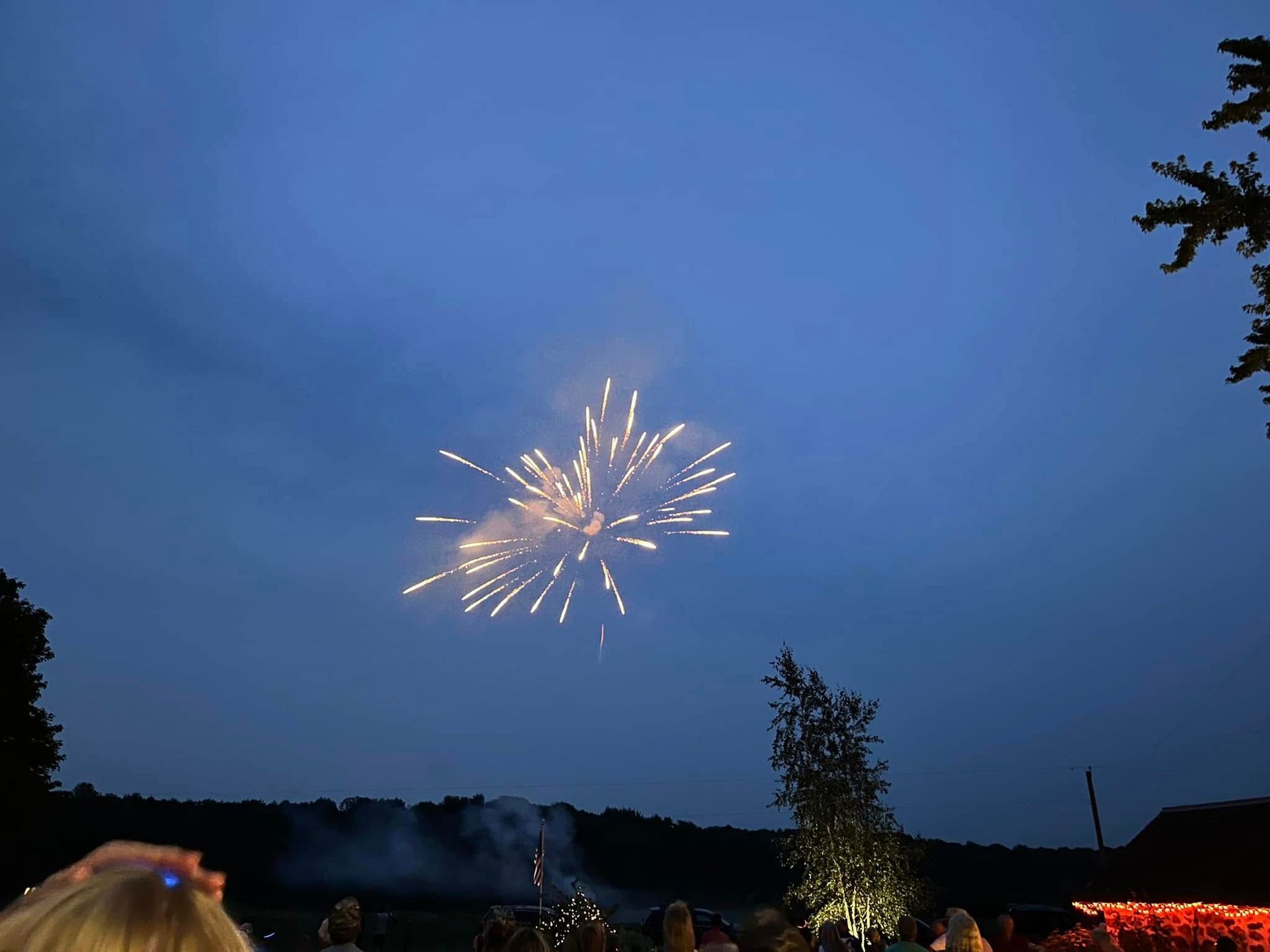 A group of people are watching fireworks in the night sky