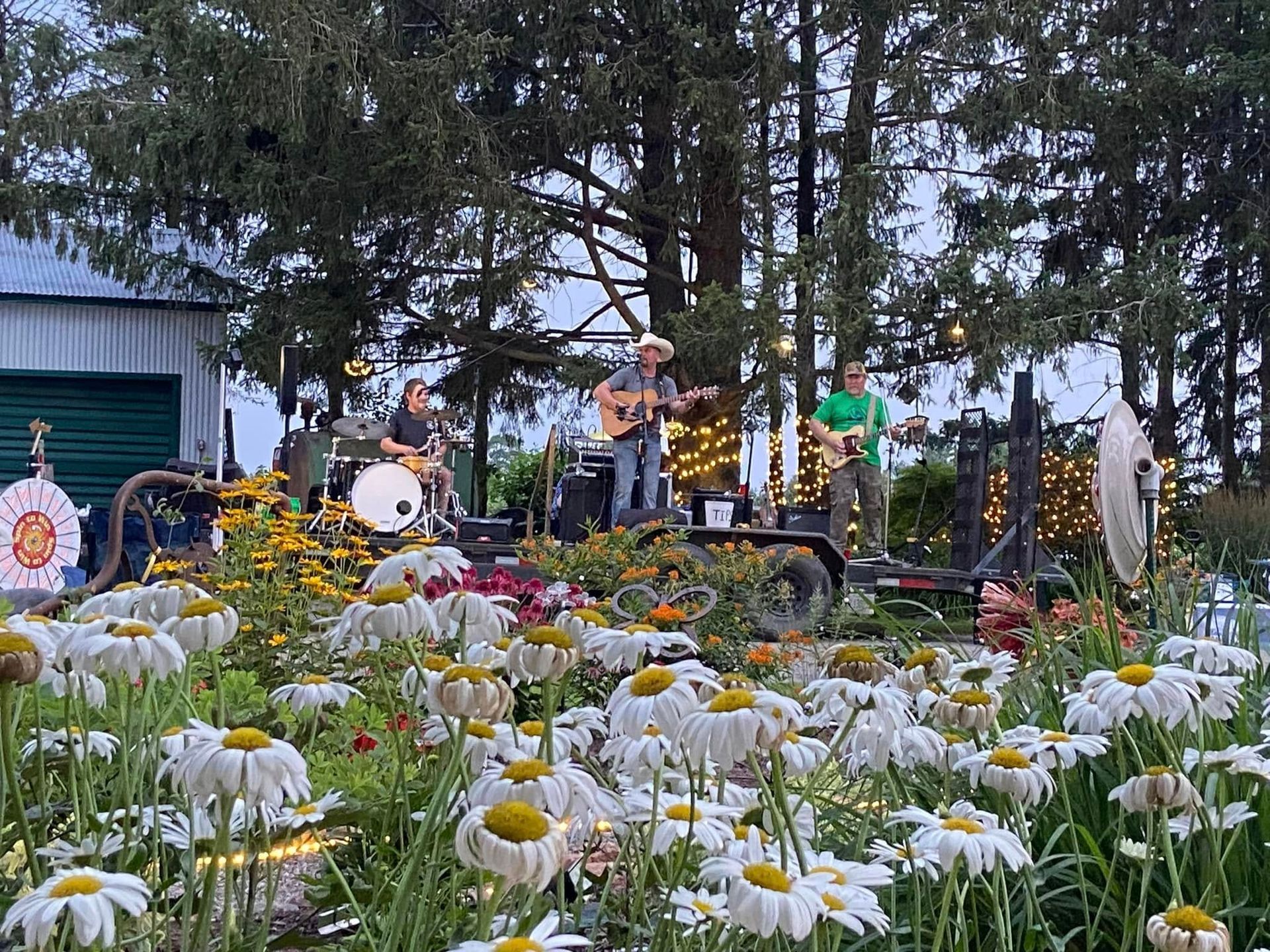 A group of people are playing instruments in a field of daisies.