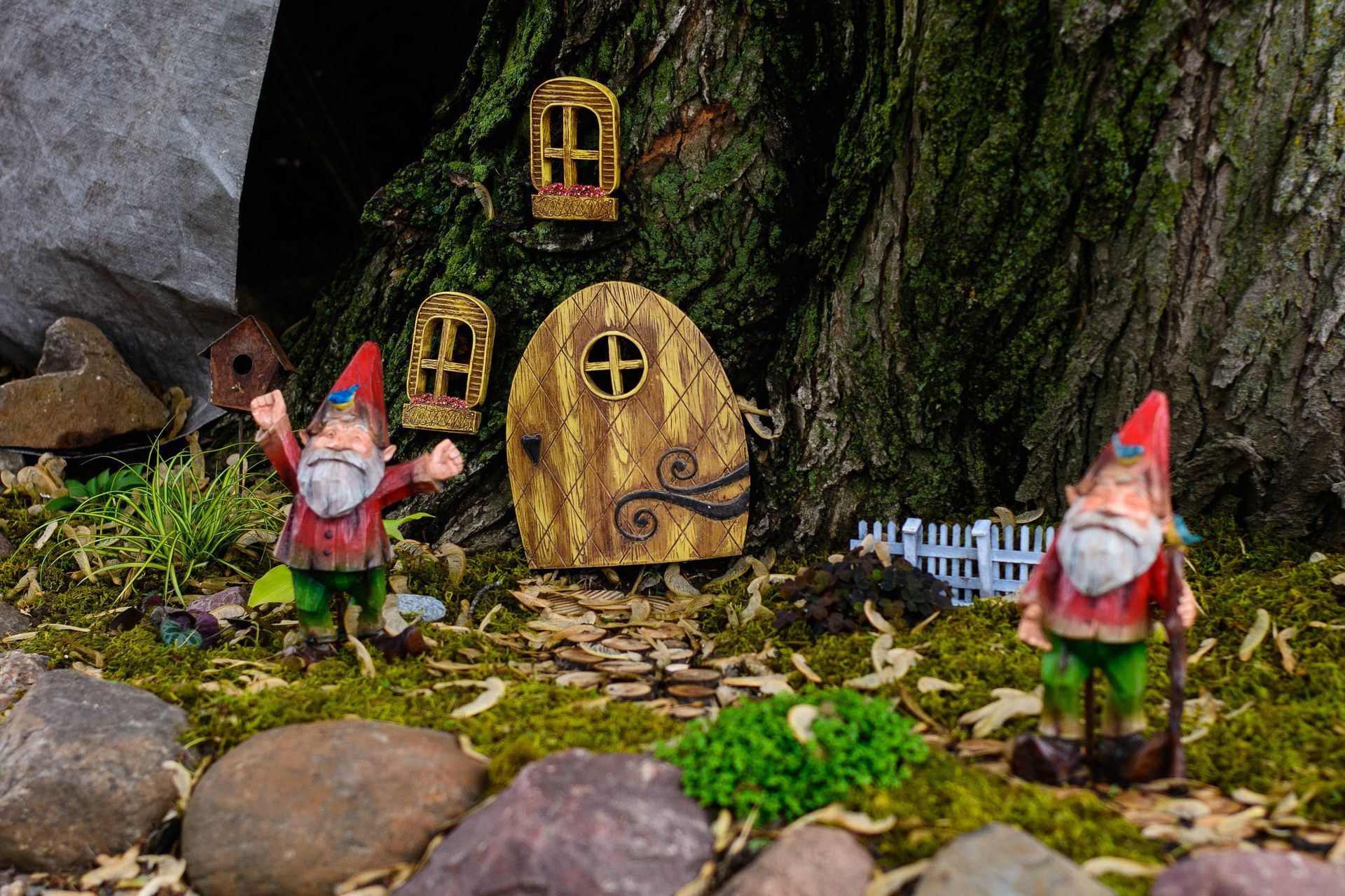 Two gnomes outside a tree house with a wooden door. One has arms raised. Green moss, rocks, and foliage.