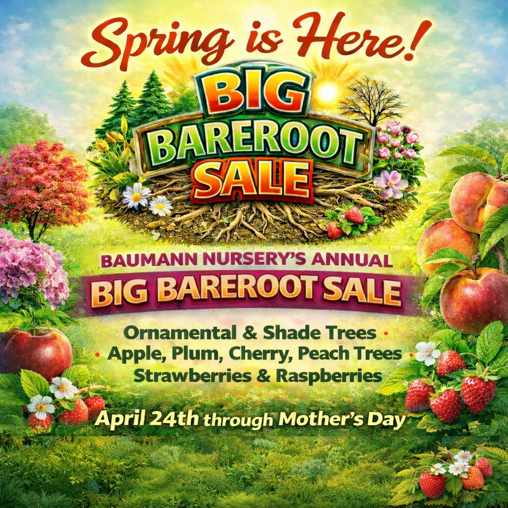 Bauman Nursery Season Opener graphic. Colorful spring flowers and butterflies surround a banner with event details for April 2026.