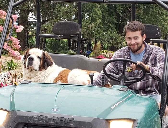 A man in a blue sweatshirt is walking out of a truck