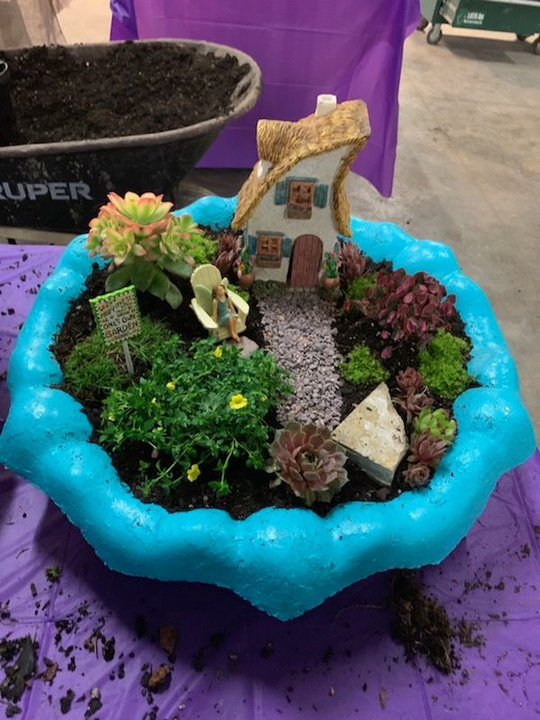 Fairy garden in a turquoise container with succulents, tiny house, pathway, and figure.