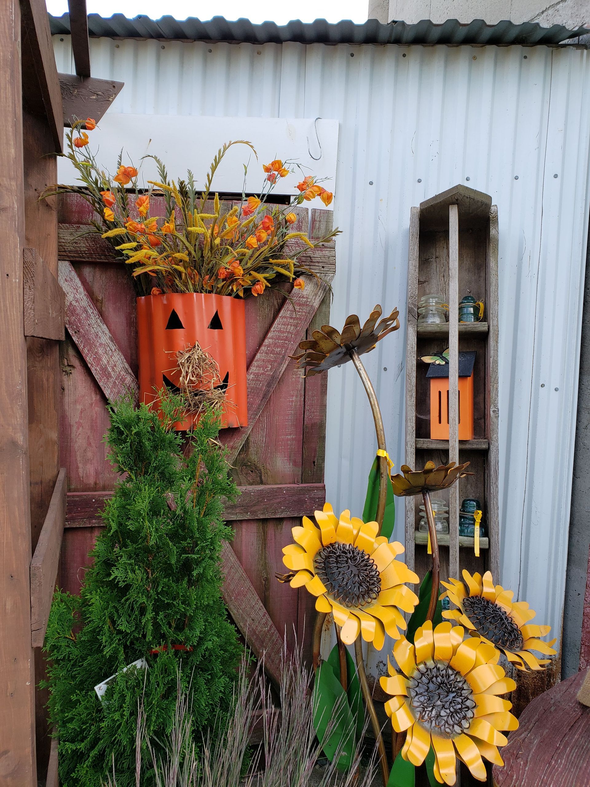 Autumn garden display: orange pumpkin planter with flowers, metal sunflowers, green evergreen, wooden shed.