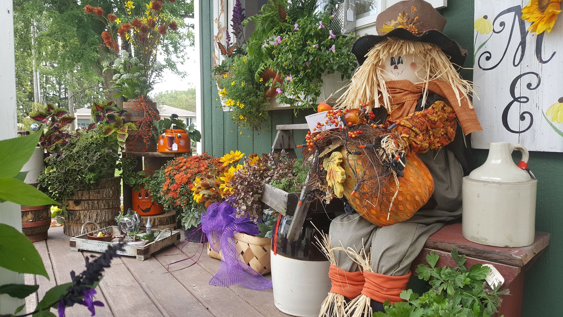 Fall porch decorated with scarecrow, pumpkins, flowers, and wreaths.