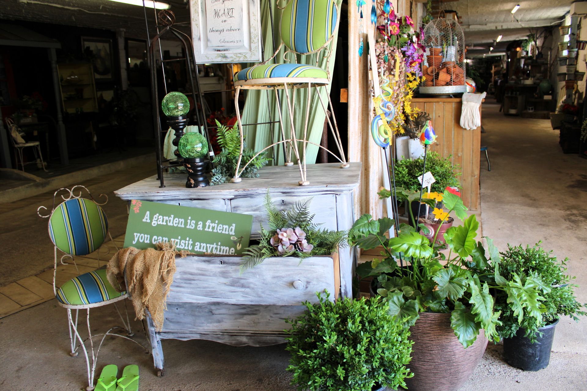Display of plants, furniture, and decorative items at a shop, including a sign that reads, 