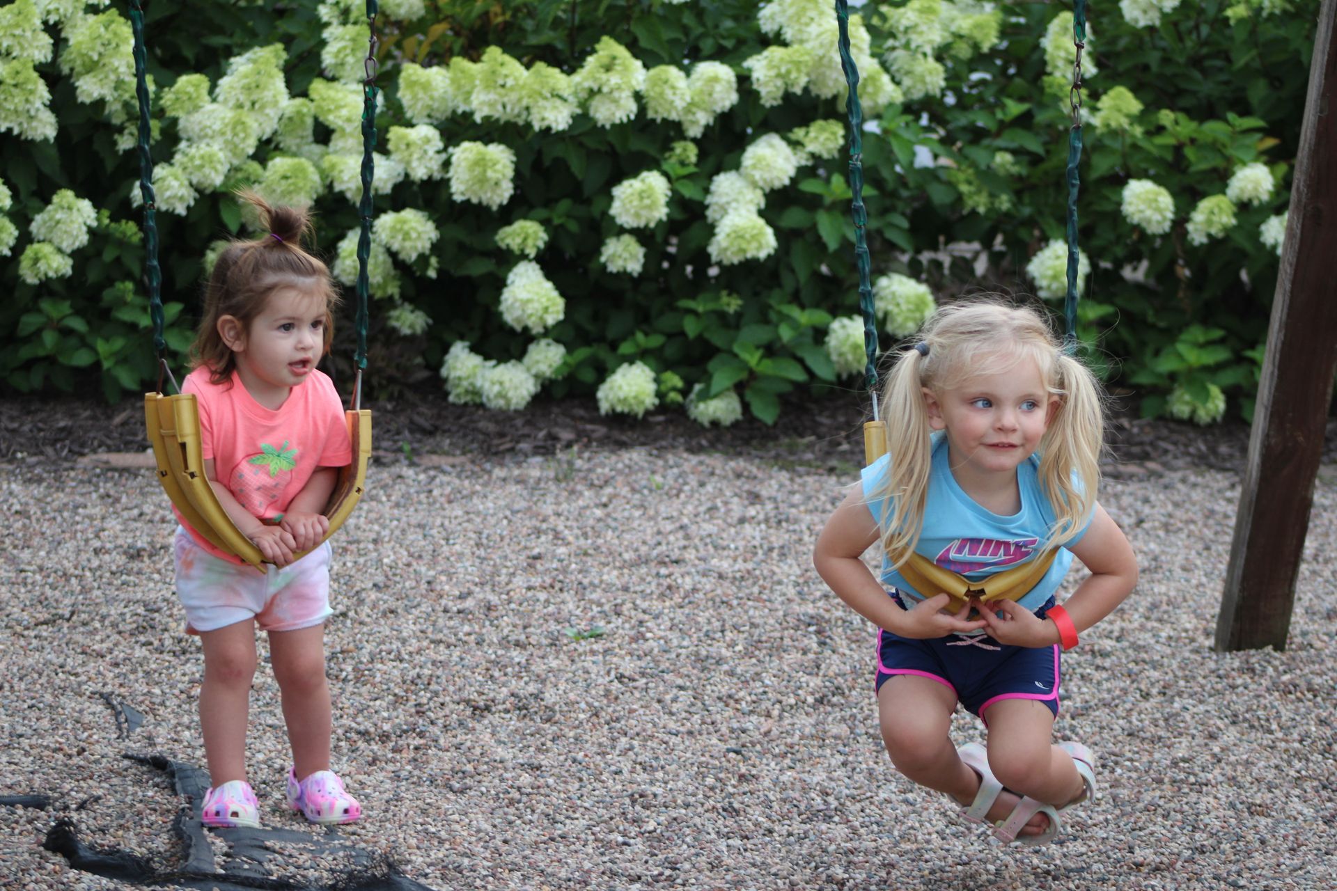 A row of trees along a gravel path leading to a building.