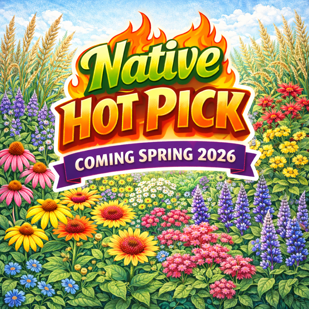 A sign that says `` coming soon '' next to a branch of eucalyptus leaves.