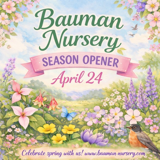 Bauman Nursery Season Opener graphic. Colorful spring flowers and butterflies surround a banner with event details for April 2026.