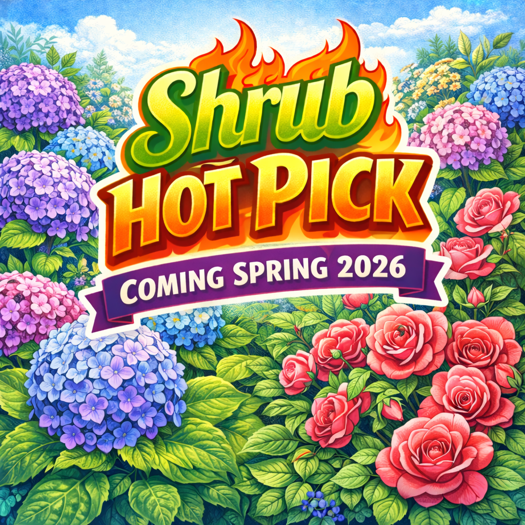 A sign that says `` coming soon '' next to a branch of eucalyptus leaves.