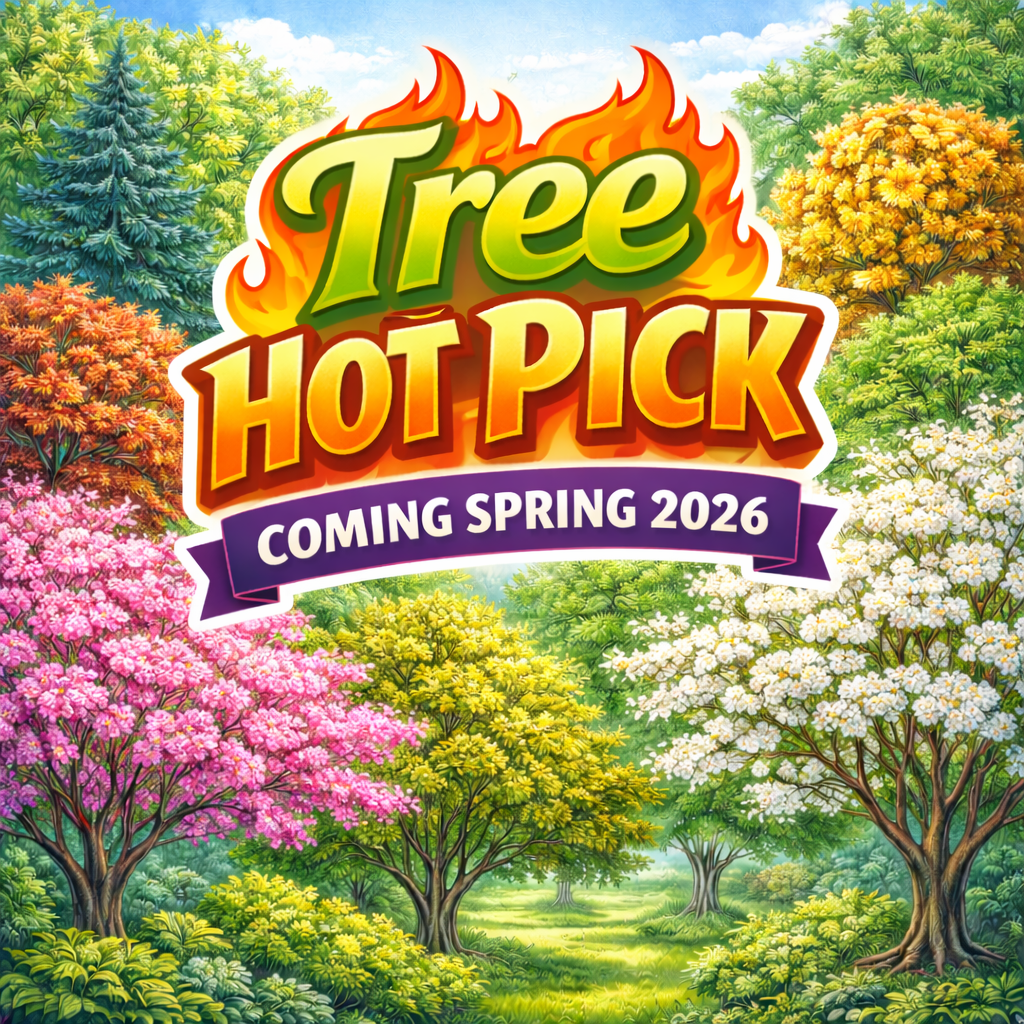 A sign that says `` coming soon '' next to a branch of eucalyptus leaves.