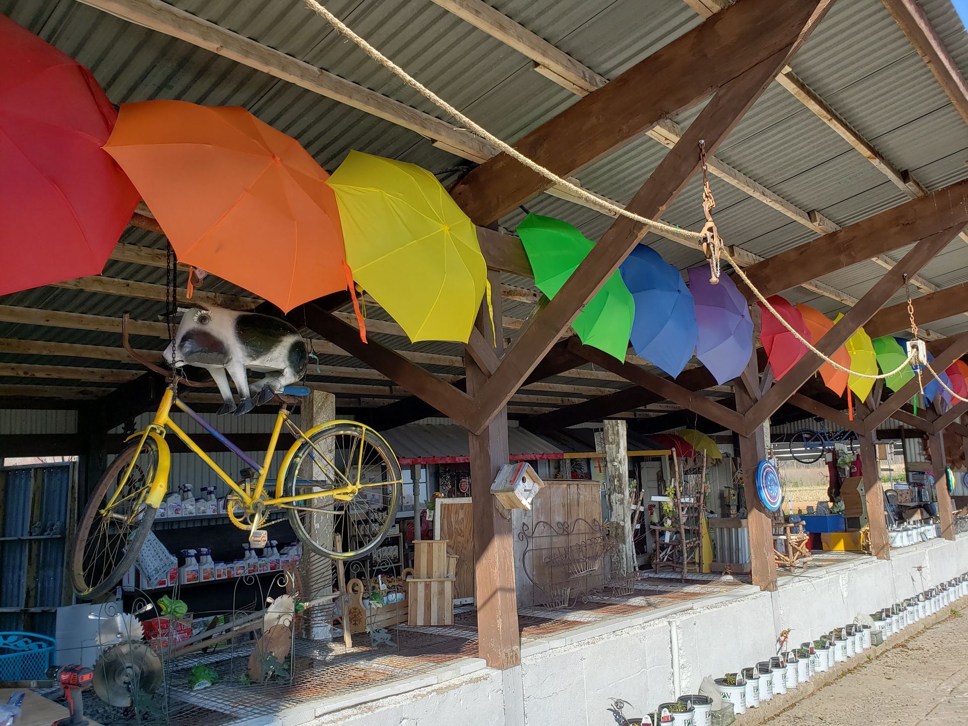 Rainbow umbrellas decorate a rustic structure, with a yellow bicycle and animal statue.