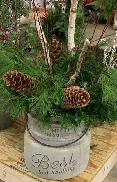 Arrangement of pine branches, pinecones, and birch in a mason jar.