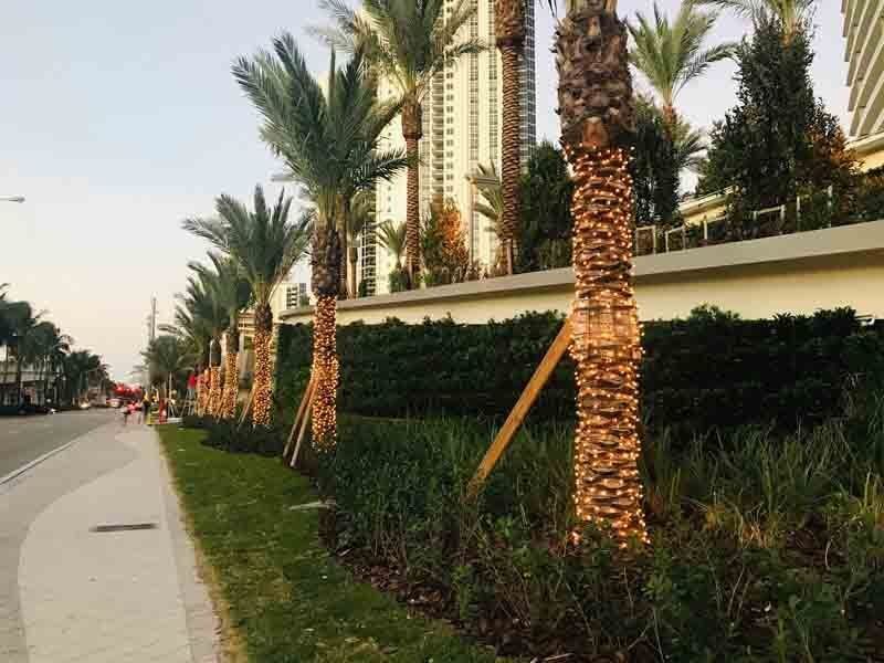 Professional Christmas lighting in Miami
