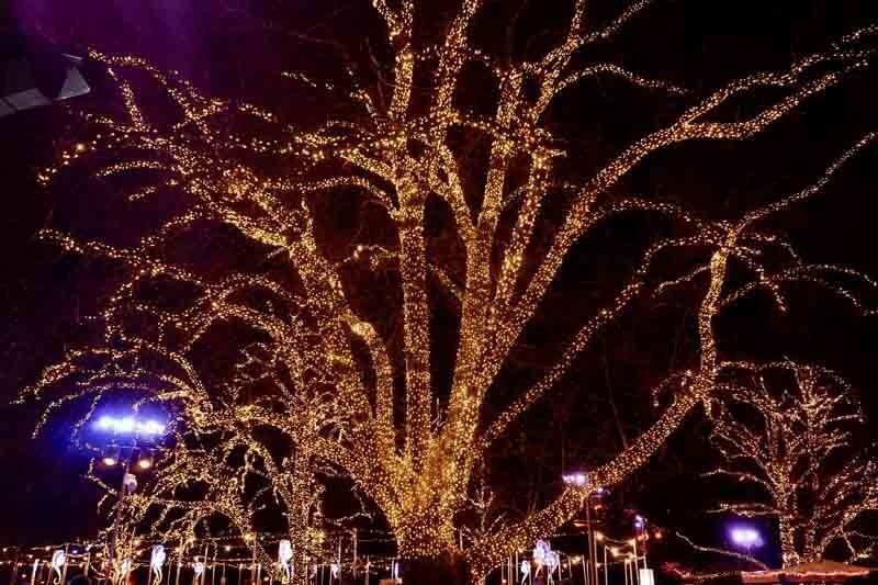 Custom-designed outdoor Christmas lighting