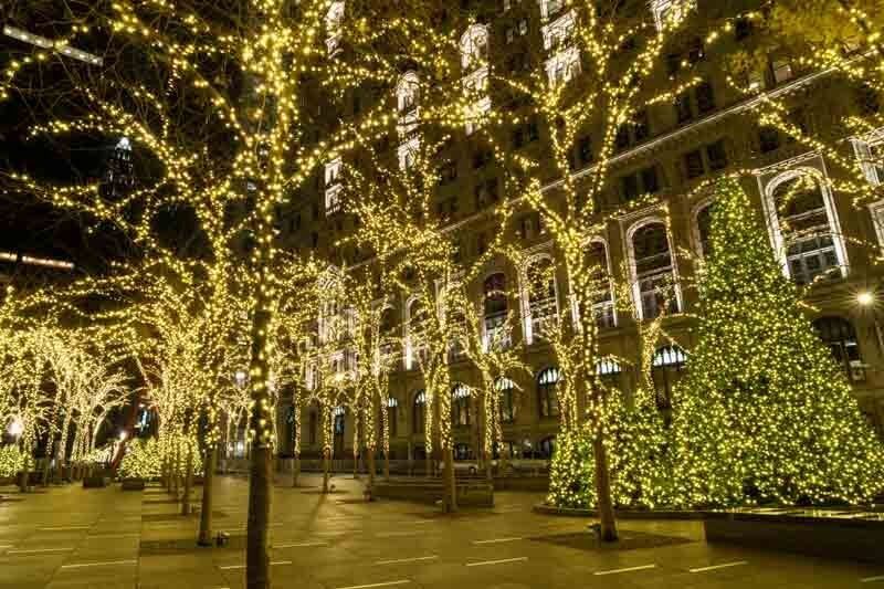 Elegant outdoor lighting in Miami
