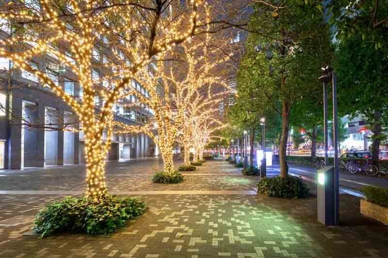 Outdoor lighting in Miami