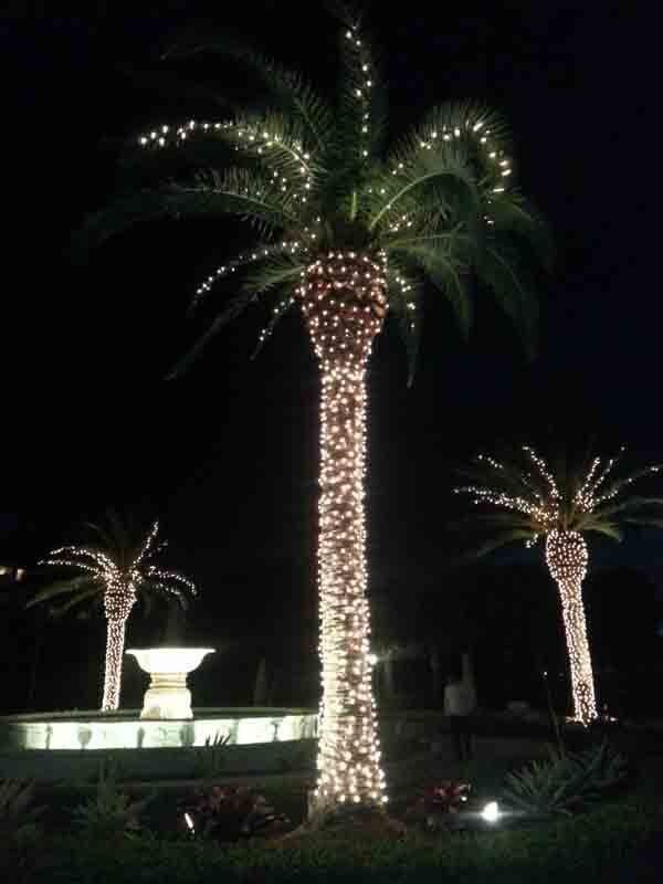 Outdoor lighting in Miami