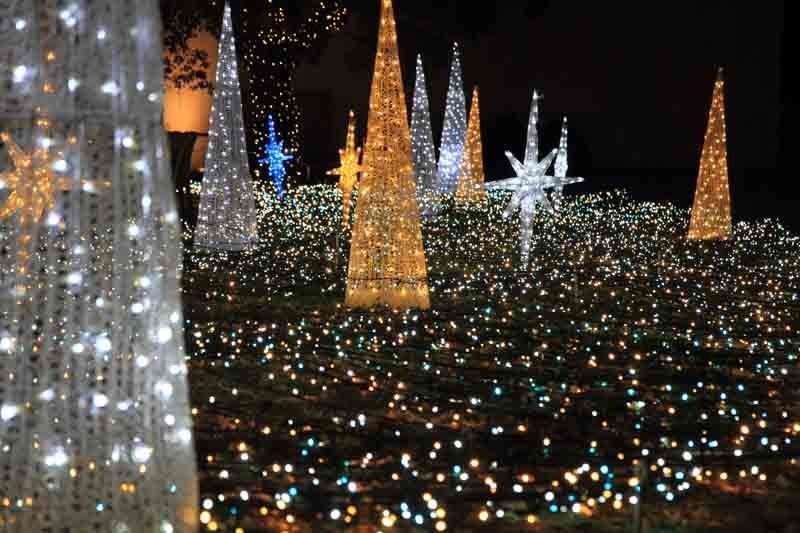 Custom-designed outdoor lighting display in Pinecrest