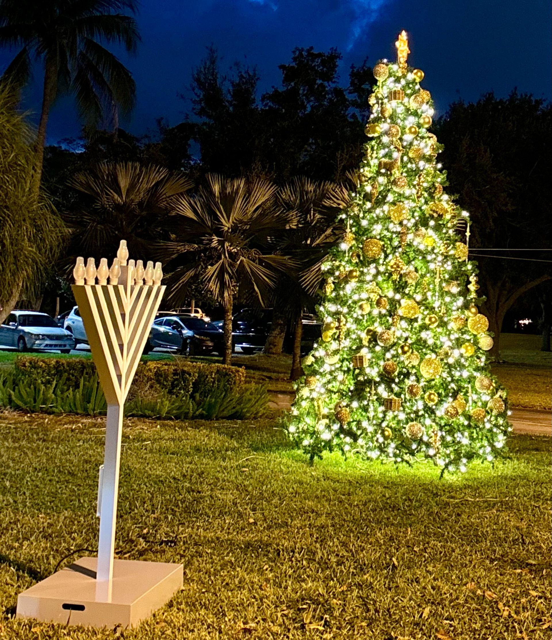 Elegant Outdoor Christmas tree and menorah